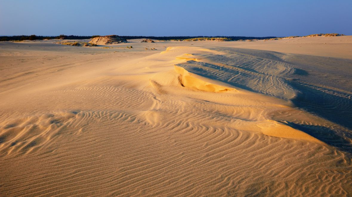 „Baltská Sahara” na poloostrově Kurská Kosa 