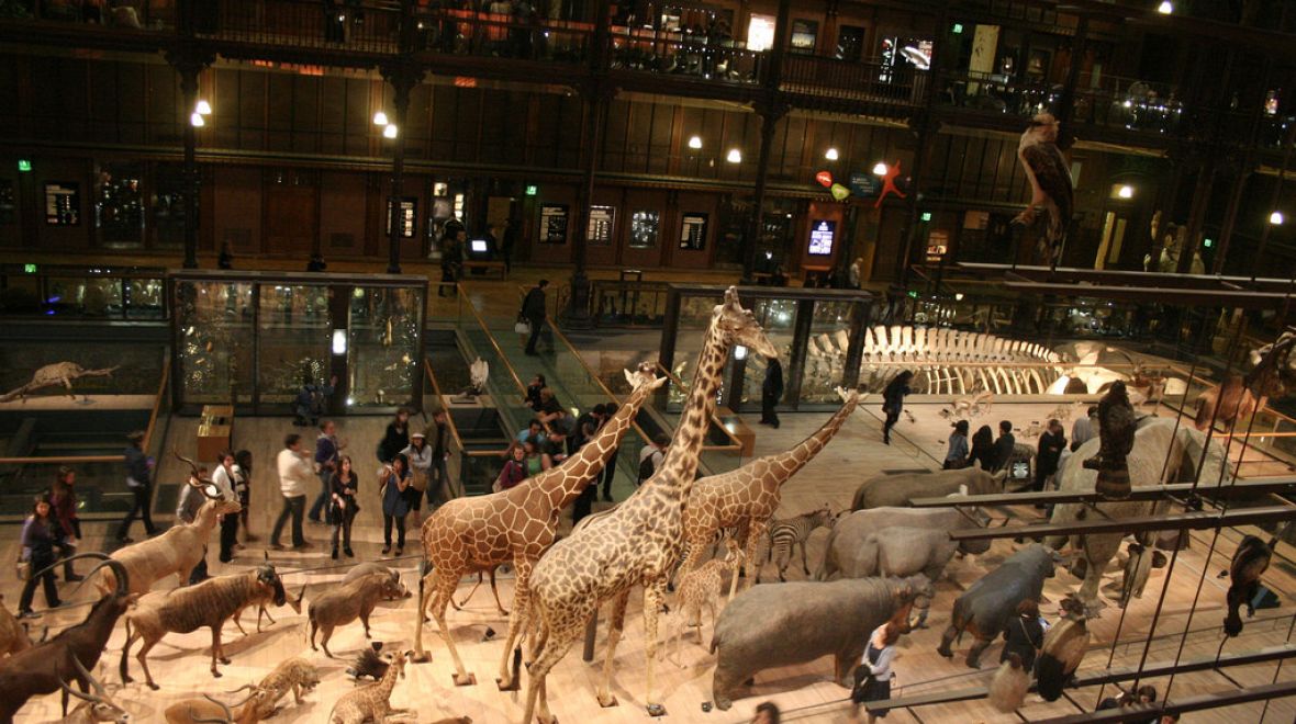 Muzeum přírodních dějin