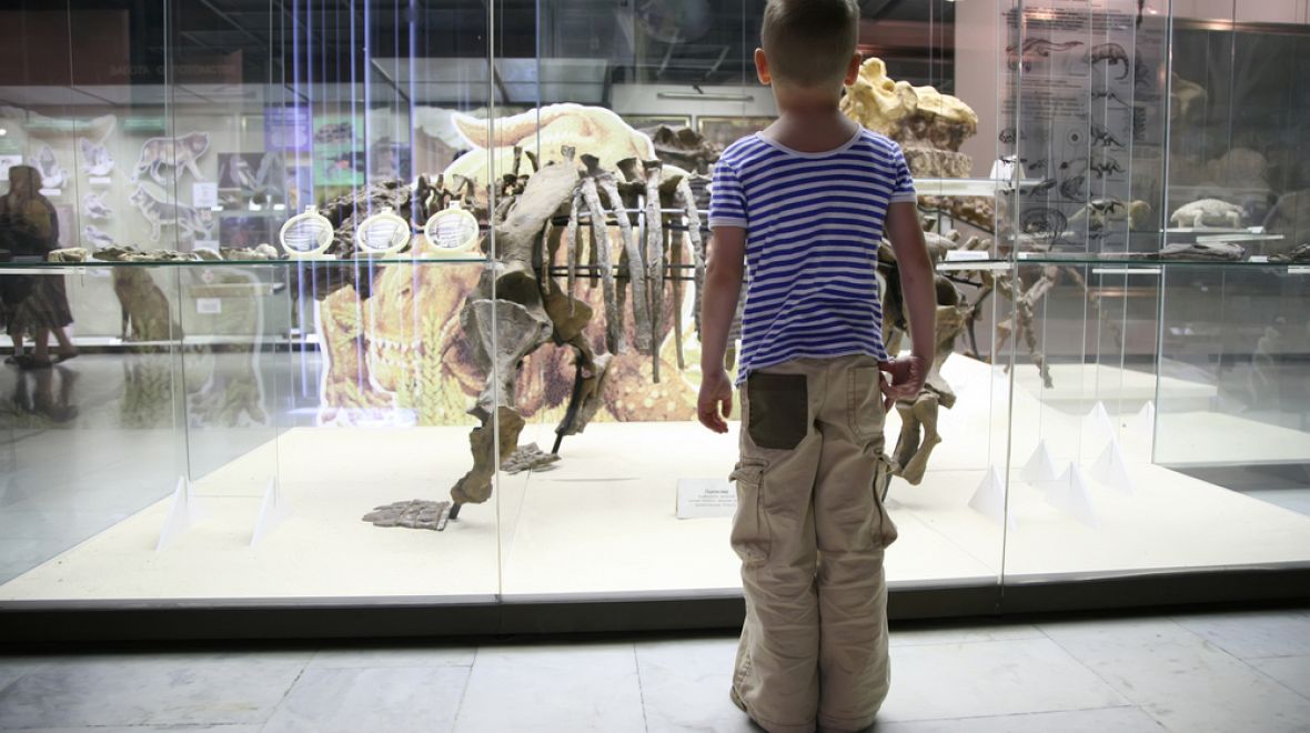 Proč jsou děti fascinovány dinosaury? I to v Přírodopisném muzeu určitě zjistíte 
