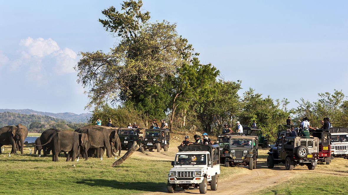 Na oblíbených místech slonů jsou k dispozici vyhlídková místa