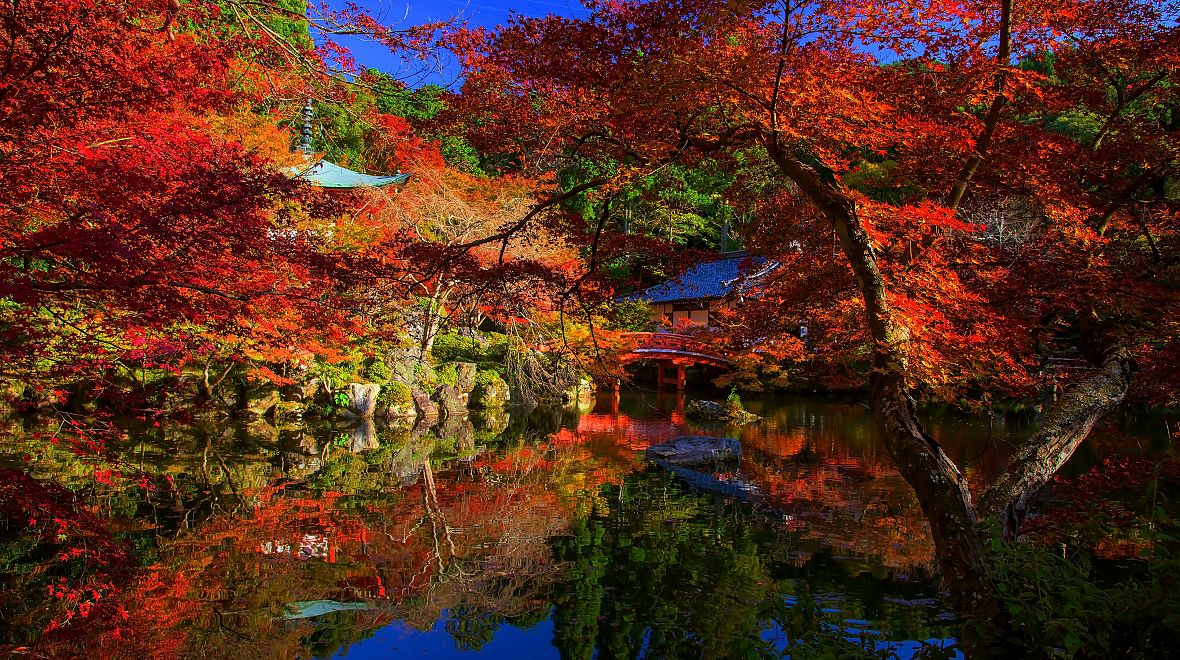 Japonský podzim