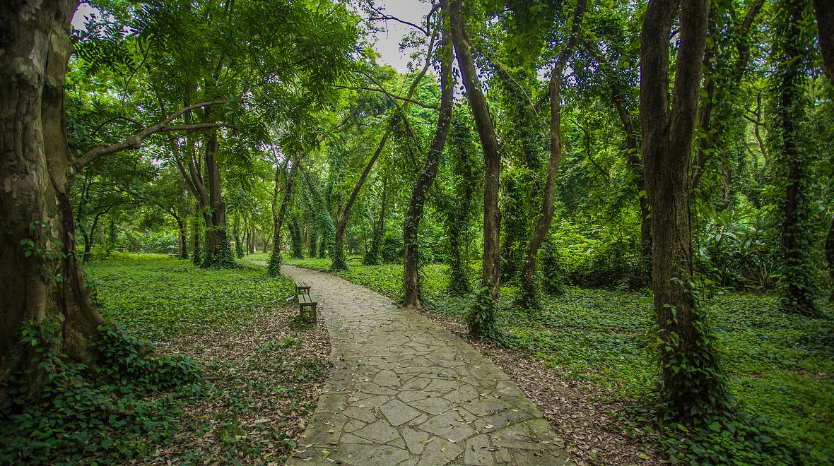 Botanická zahrada na jihu Číny