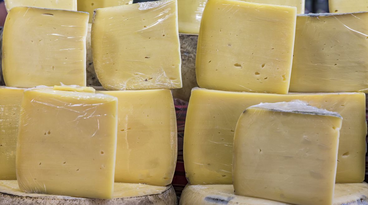 Ochutnávka různých druhů sýra čedar