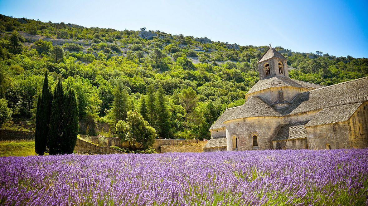 Levandulové pole v Provence