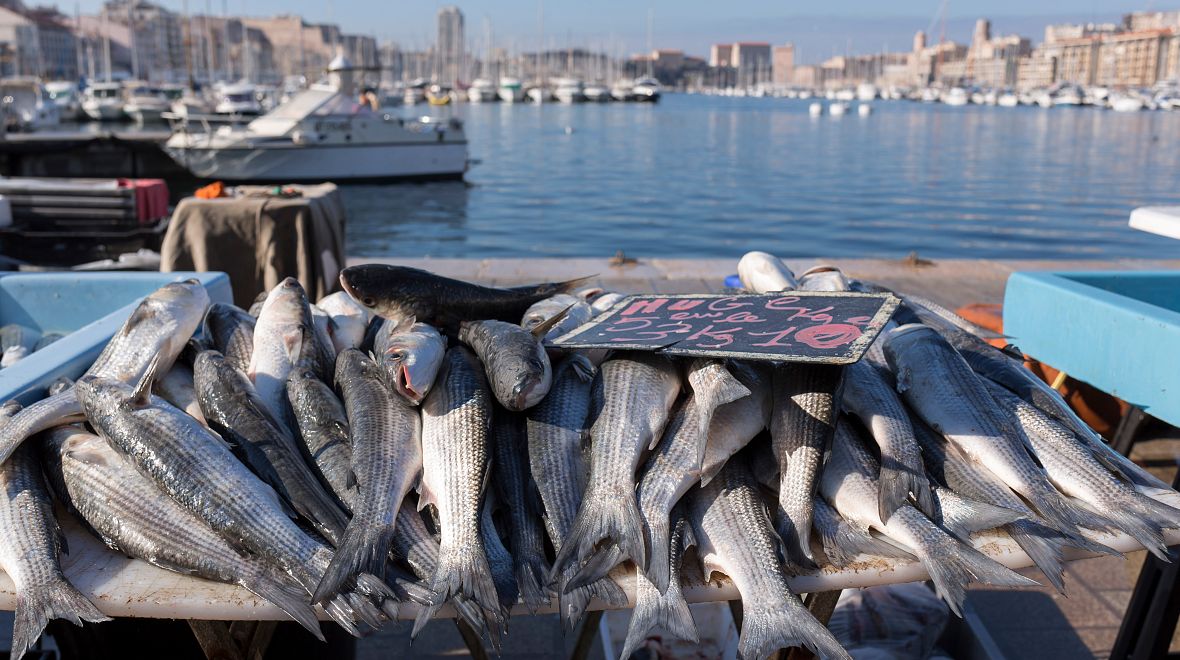Rybí trh v Marseille