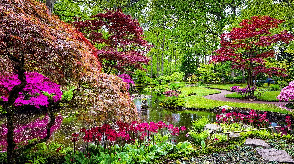 Vstupte do japonské zahrady a meditujte