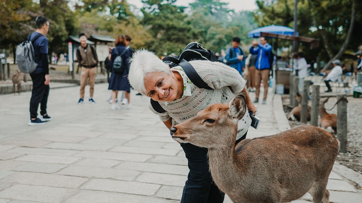 Nara vás ohromí milými jelínky