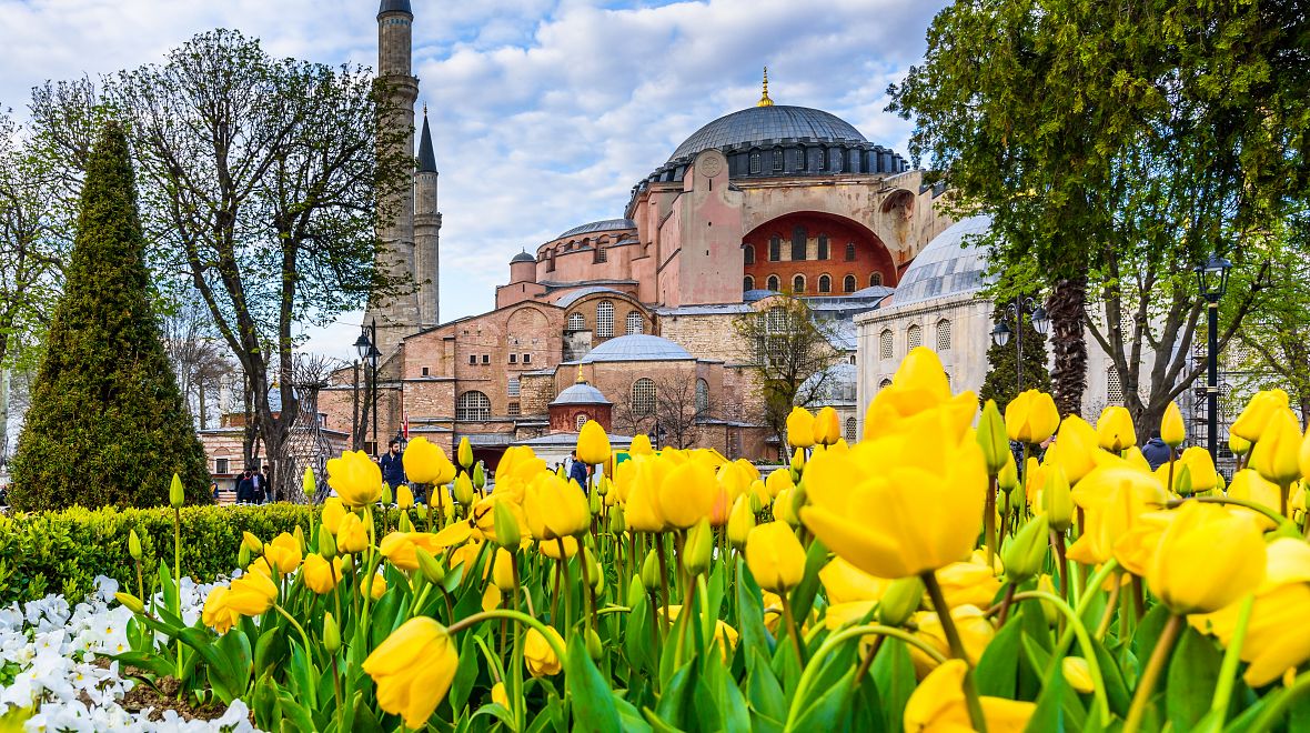 Pravlastí tulipánů je Turecko