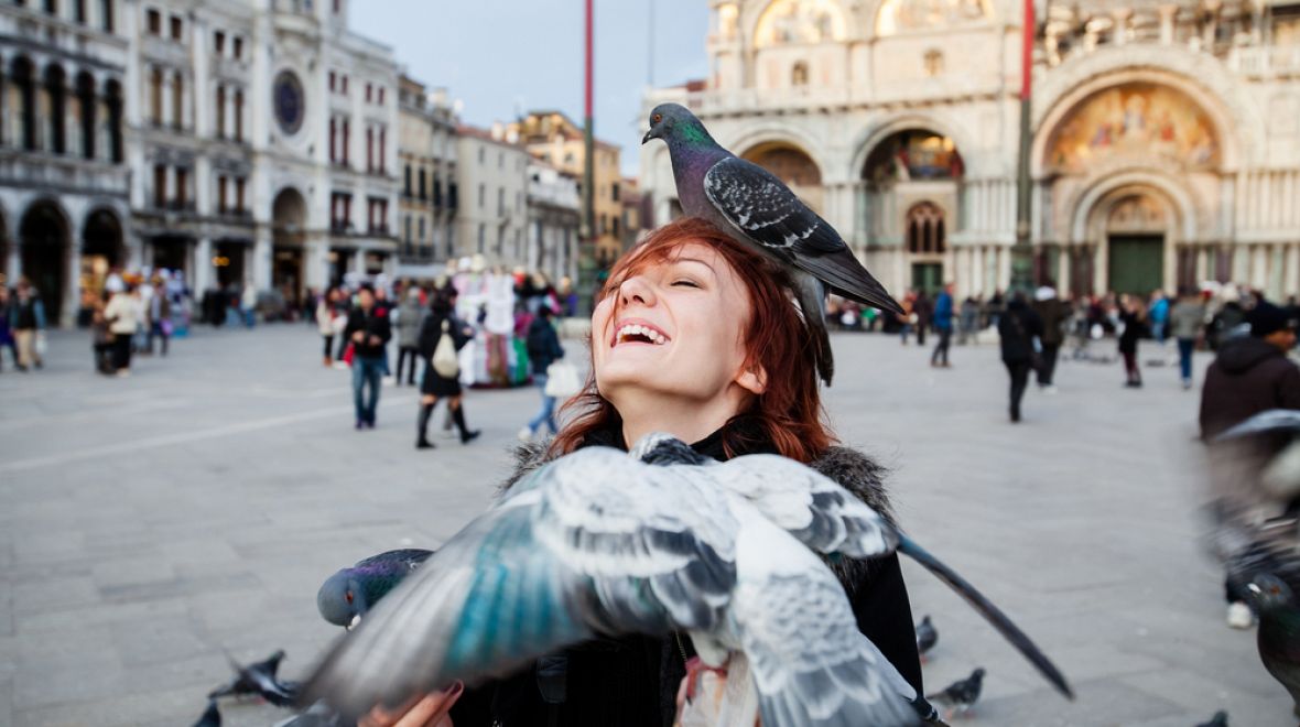Krmení holubů je zakázáno v mnoha italských městech, nejen v Benátkách 