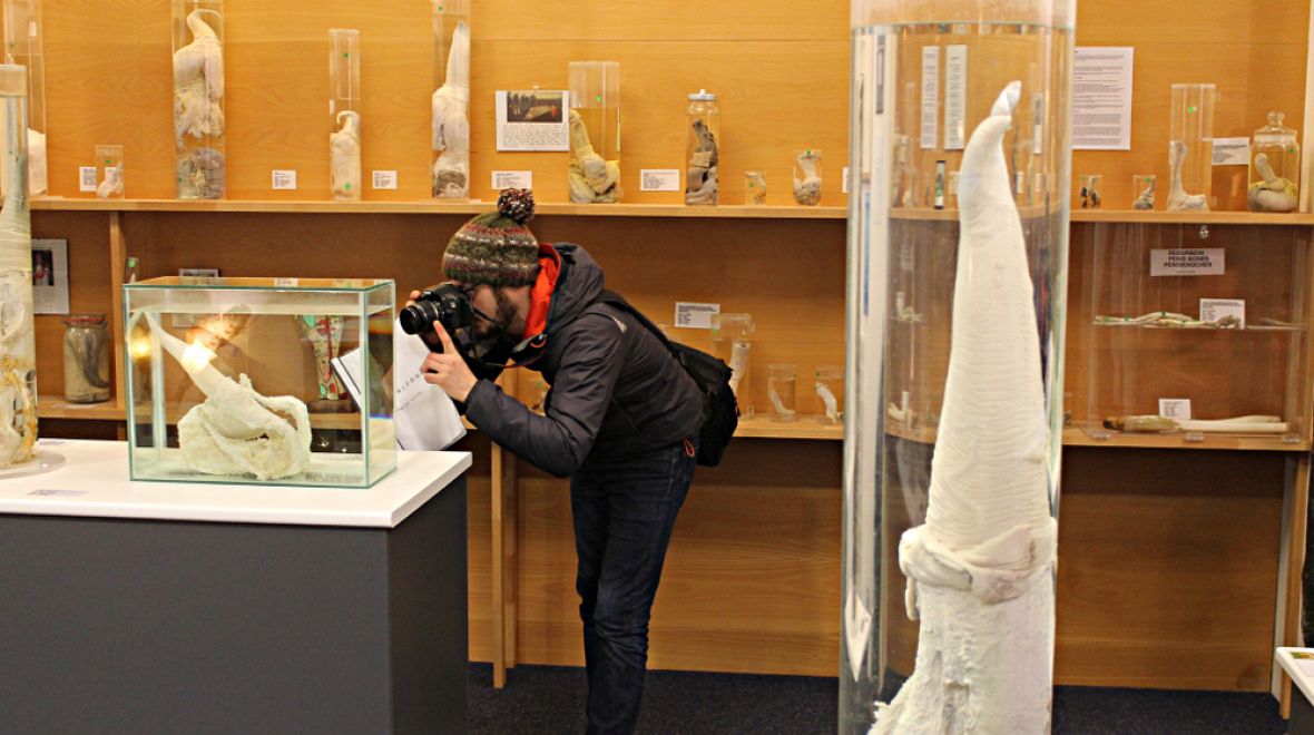 Sbírka muzea čítá okolo 280 kusů sbírkových předmětů 