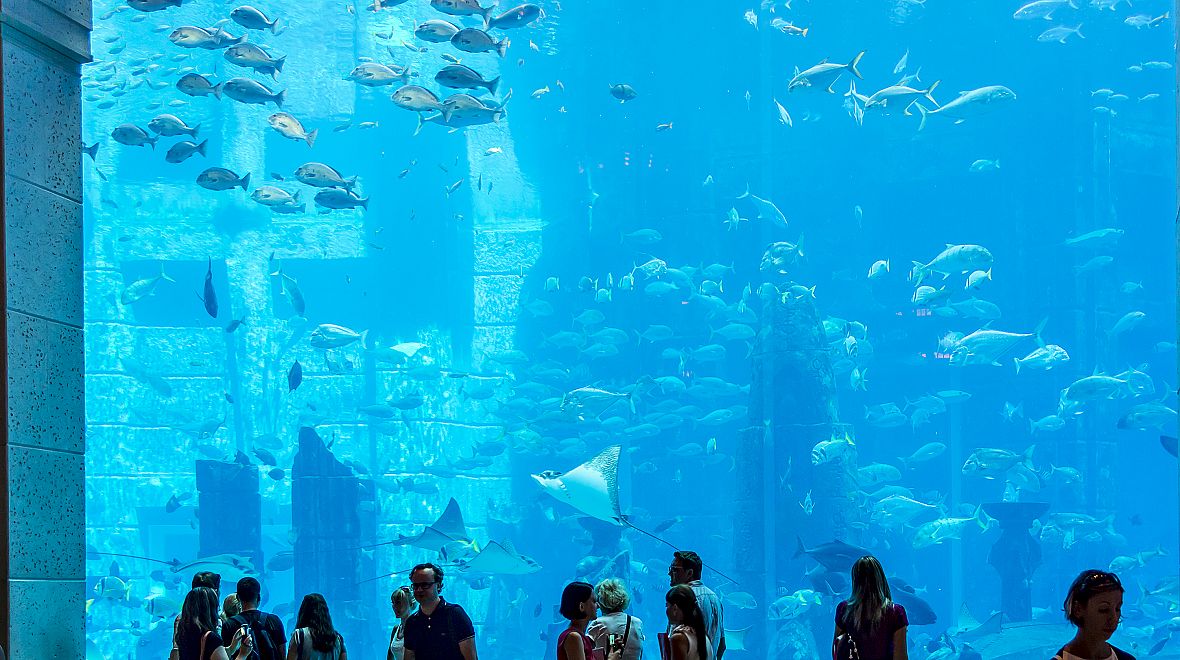 Přímo v hotelu je i velké podmořské akvárium