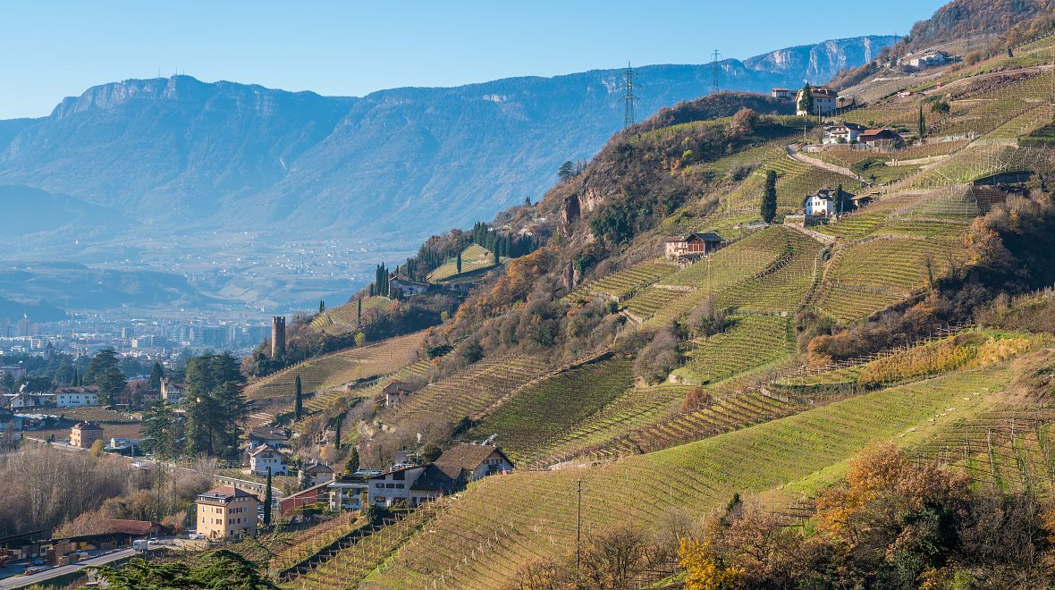 Výhled na vinice z hradu Roncolo 