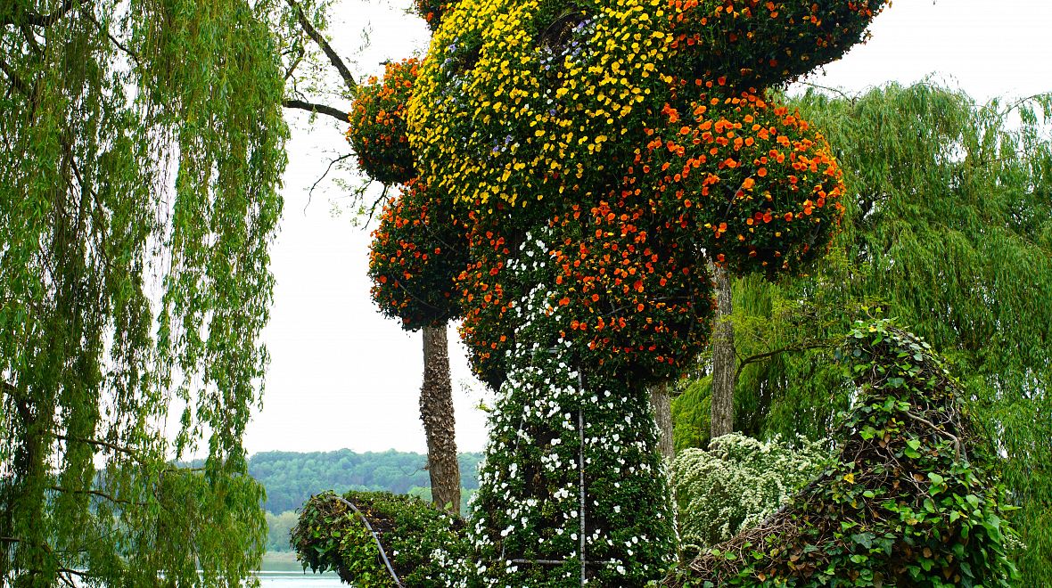 Zahradníci se v Mainau mohou pořádně vyřádit