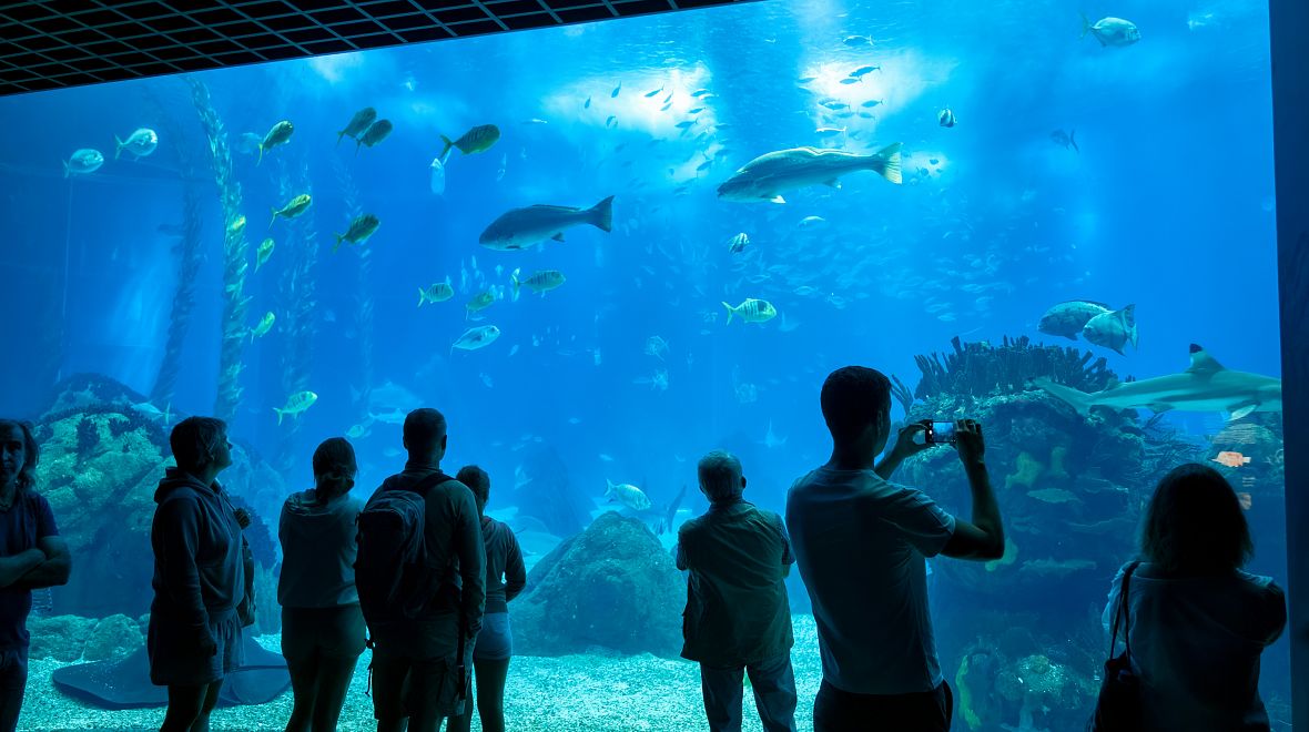 Oceanárium v Lisabonu