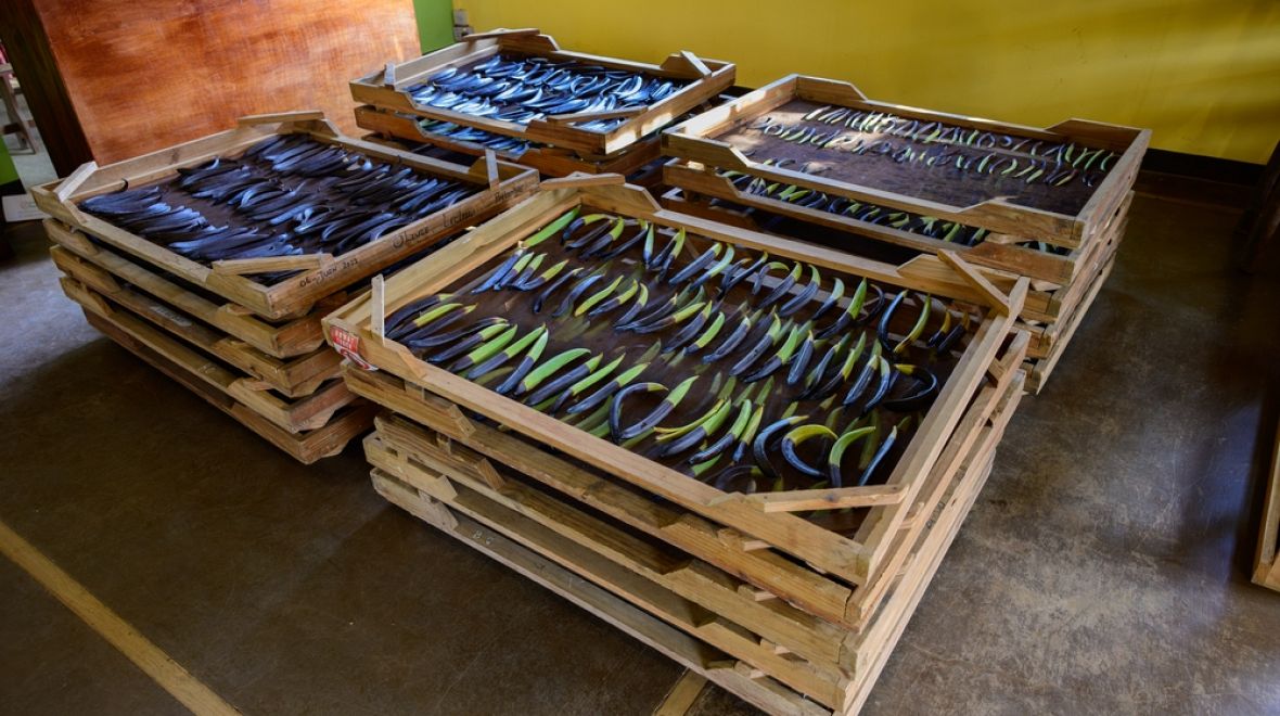 Vanilka a další koření se stalo srdcem místních receptů