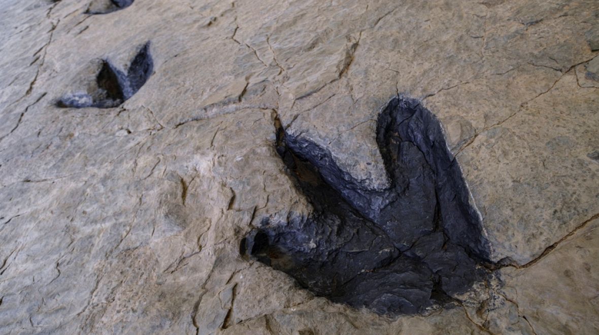 Dinosauří stopy v Cornagu
