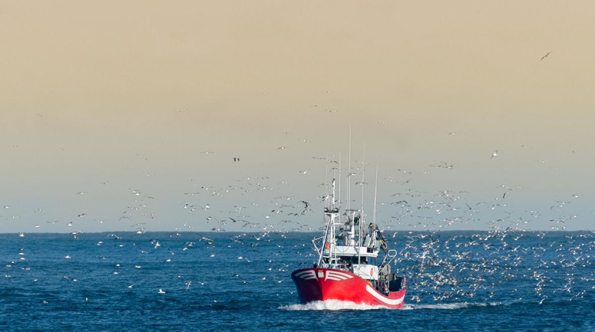 Francova rodina měla dlouho námořní a vojenskou historii