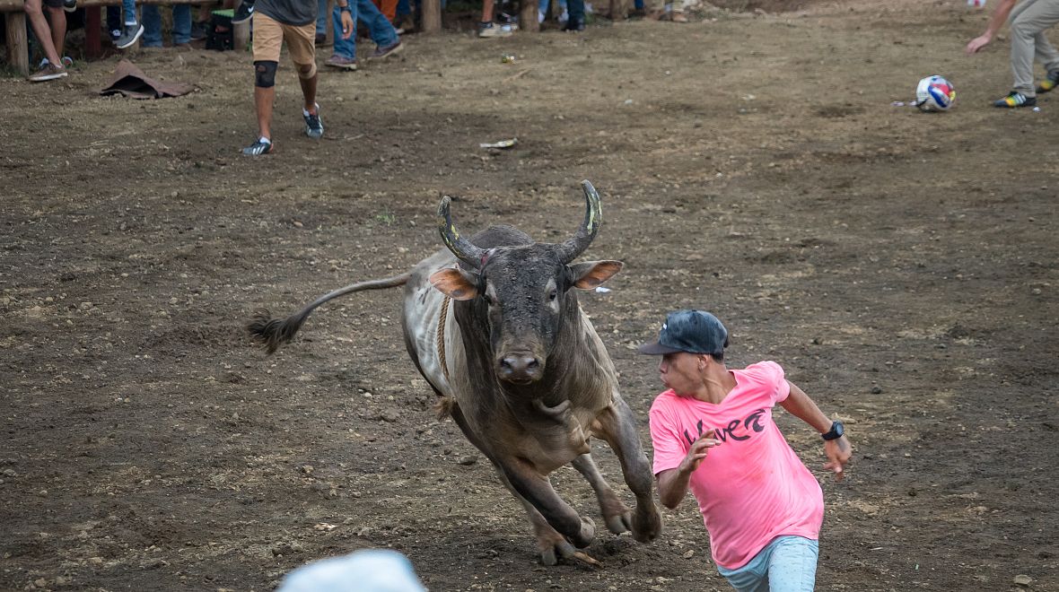 Býčí zápasy v Kostarice