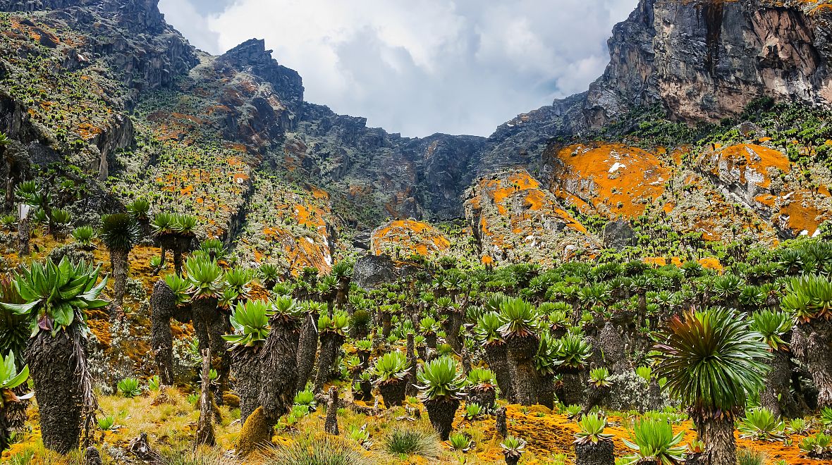 Prozkoumejte dosud neobjevené končiny