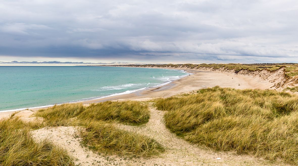 Národní park Thy je kombinací písku a trávy