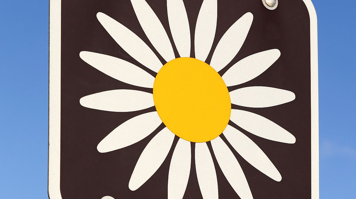 Cestu provází znaky kopretiny