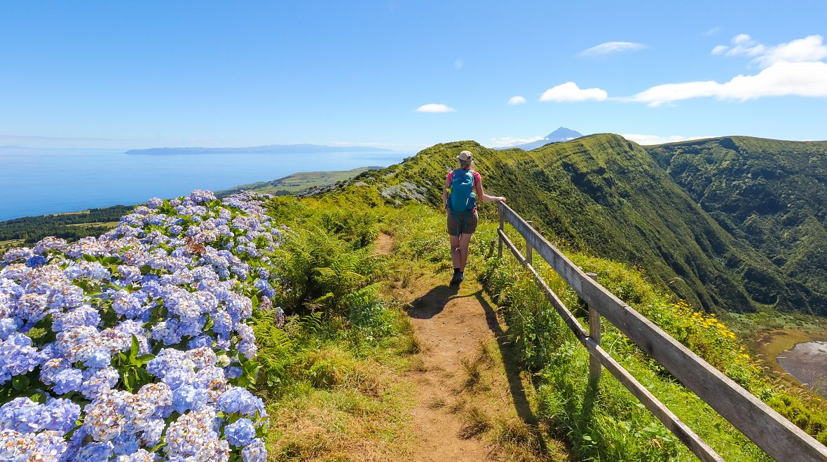 Modrý ostrov hortenzií