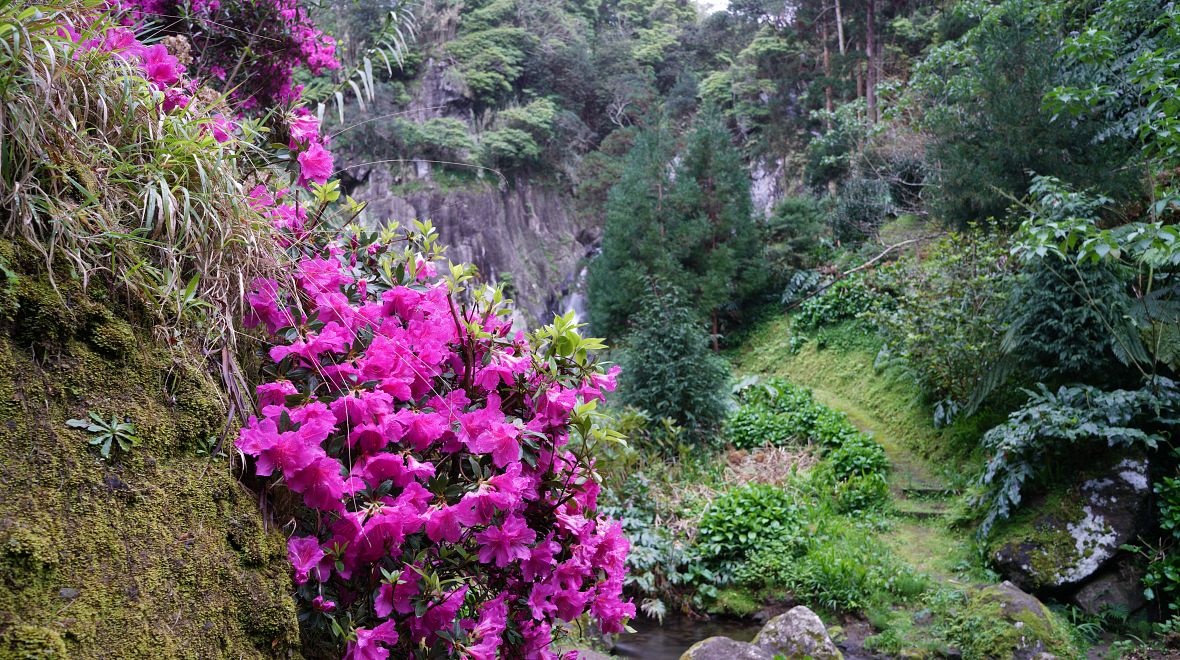 Azory jsou jedna velká botanická zahrada