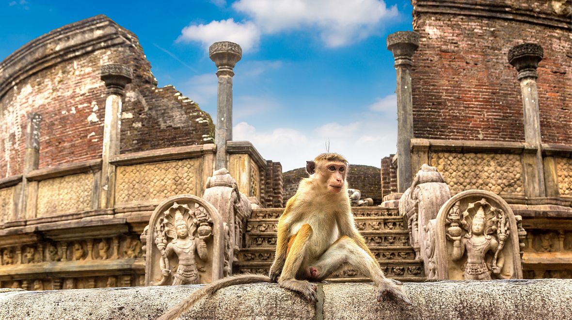 Ruiny Vatadage v Polonnaruwě