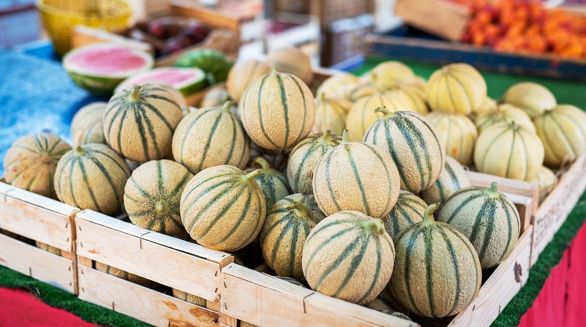 Cavaillon je městem melounů a byl by hřích je na místním trhu neochutnat