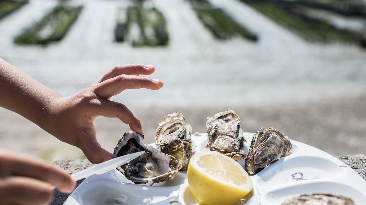 Ochutnávka ústřic přímo na farmě v Cancale