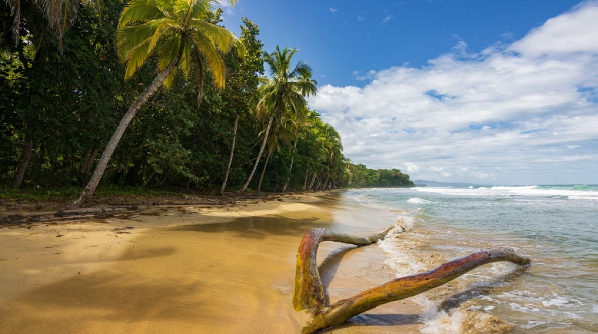 Playa Punta Uva