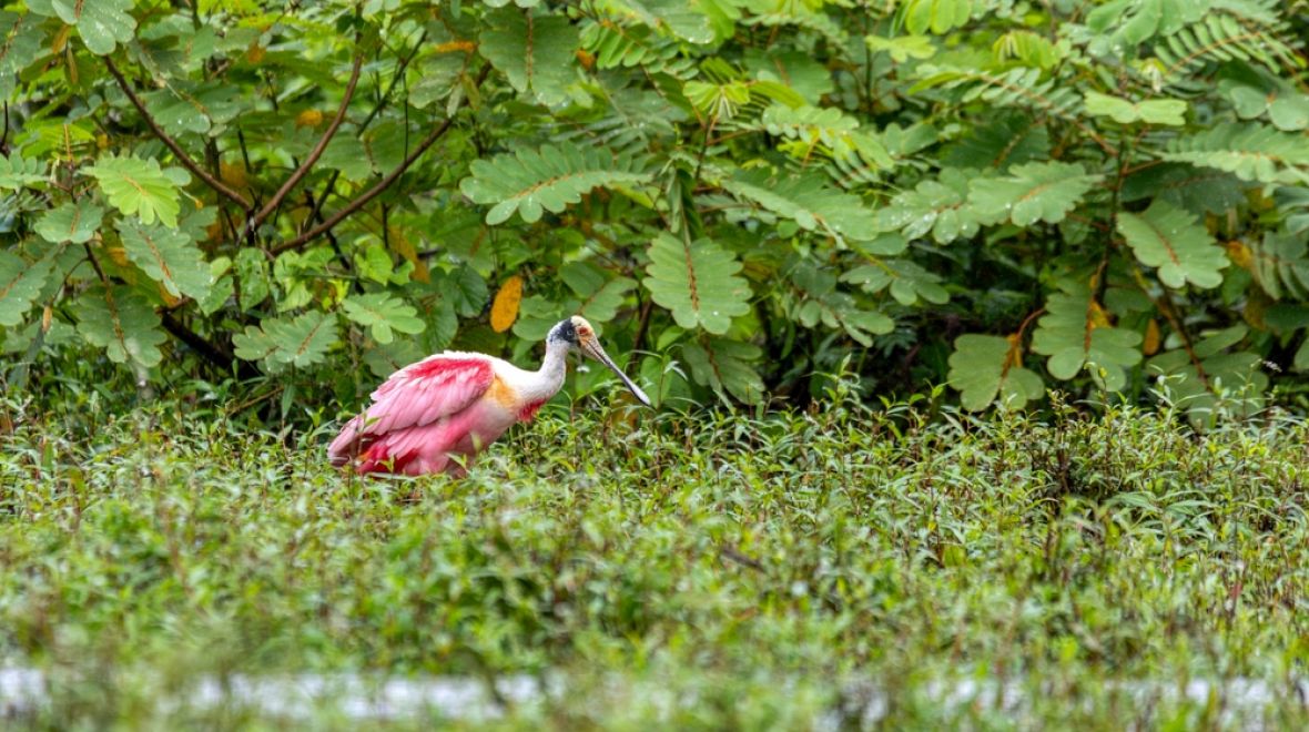 Užijte si spojení s přírodou
