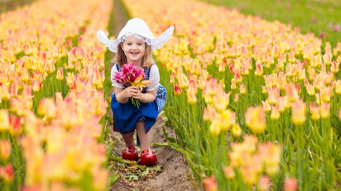 Užijte si jarní květinové Holandsko
