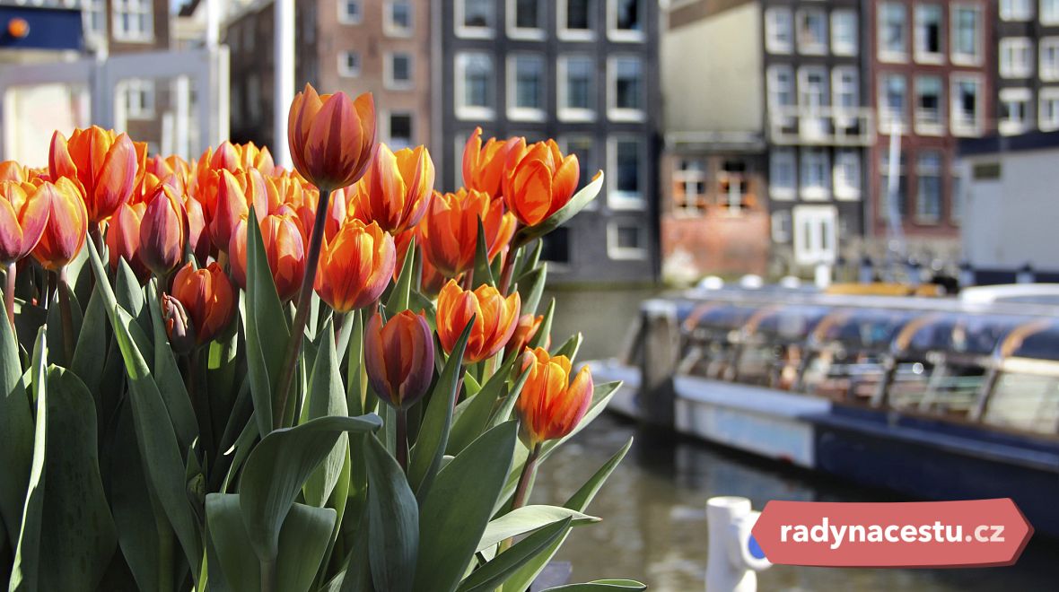 Amsterdam je městem tulipánů