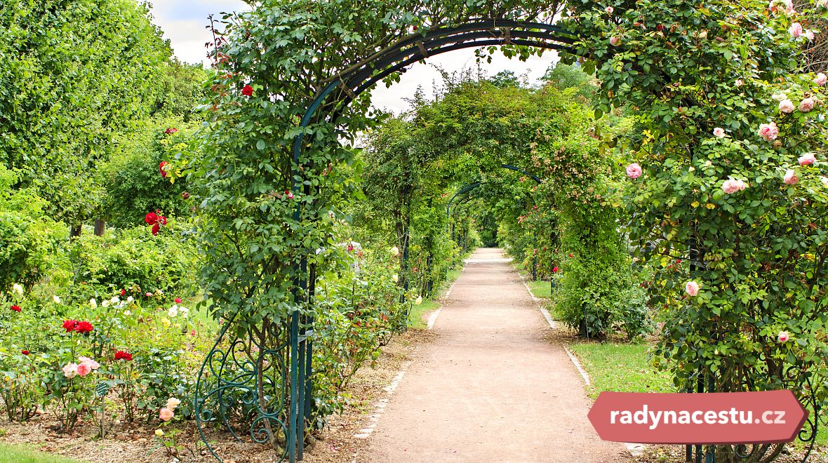 Objevte kouzelné zahrady - Jardin des Plantes garden