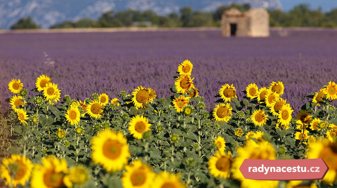 Objevte přírodní krásy Provence