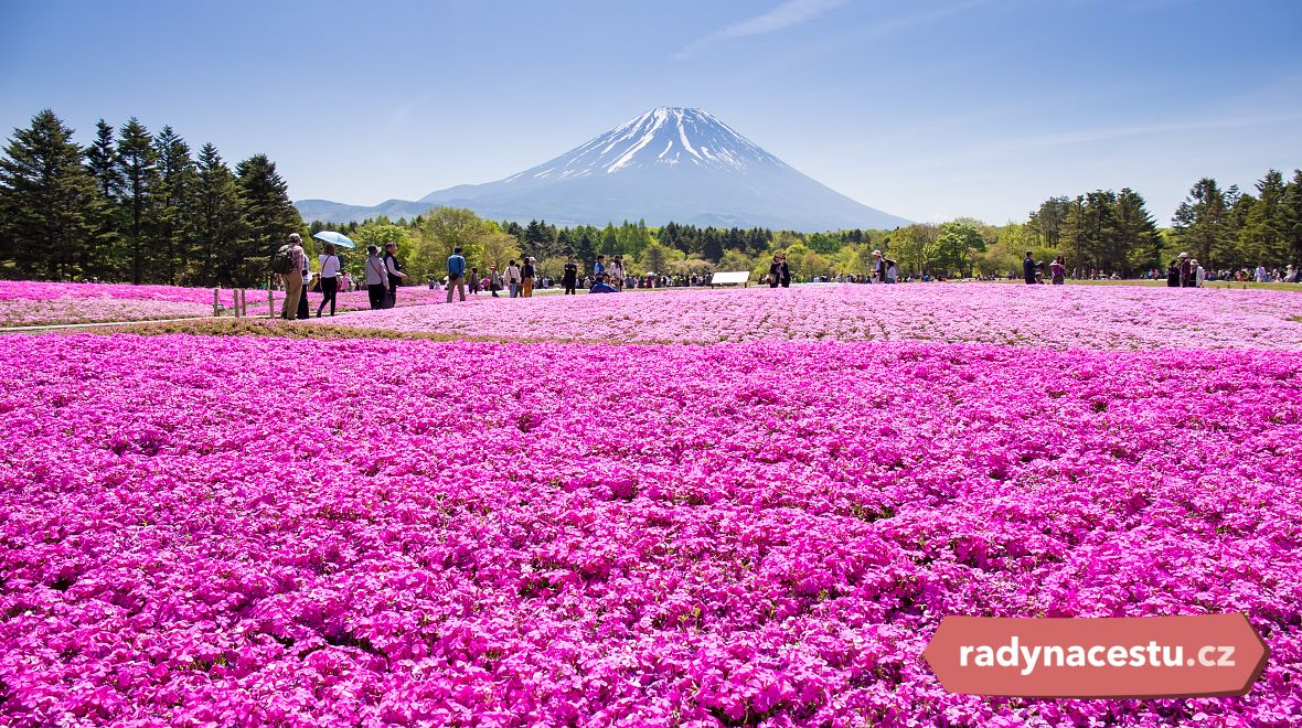 Květinový festival u hory Fudži