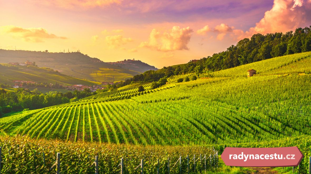 Vinařská oblast v Piemontu 