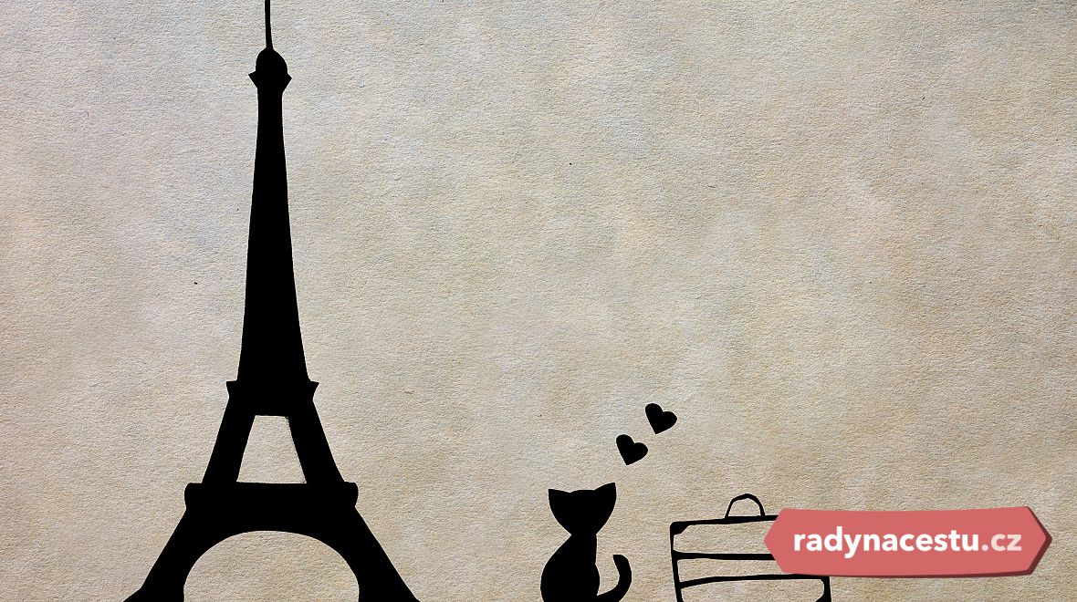 Paříž a kočky 
