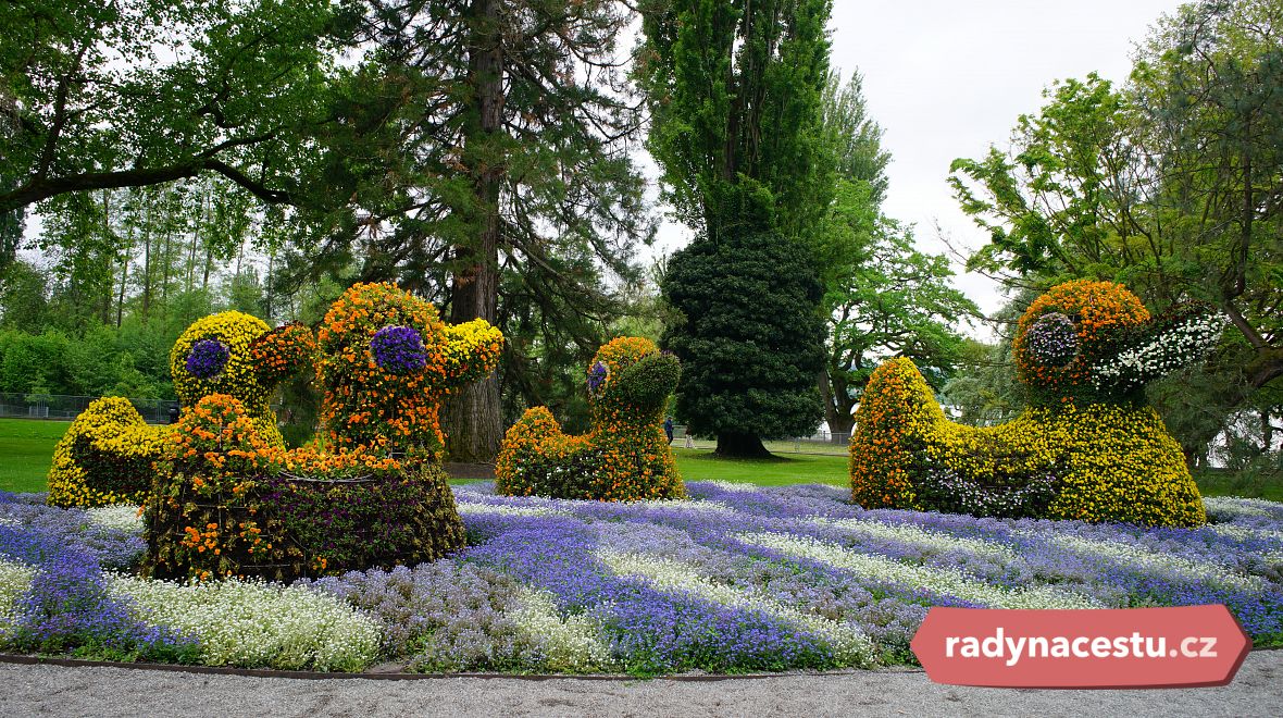 Užijte si pohodu v Mainau