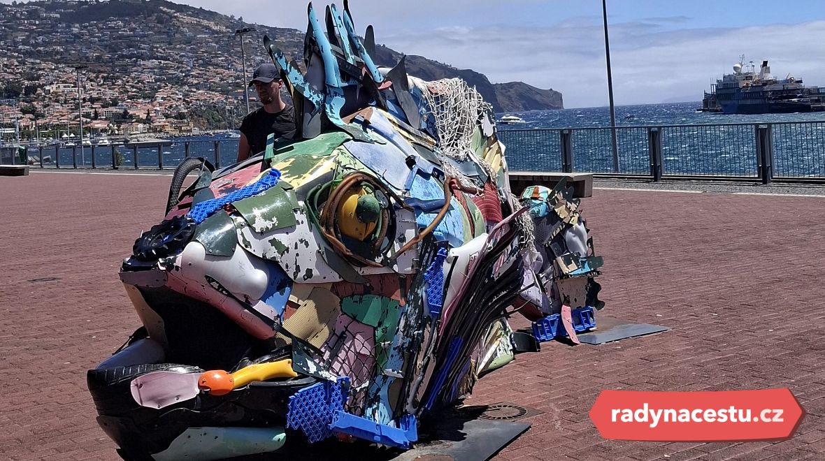 Plastika ryby ve funchalském přístavu vznikla z plastů vylovených z moře