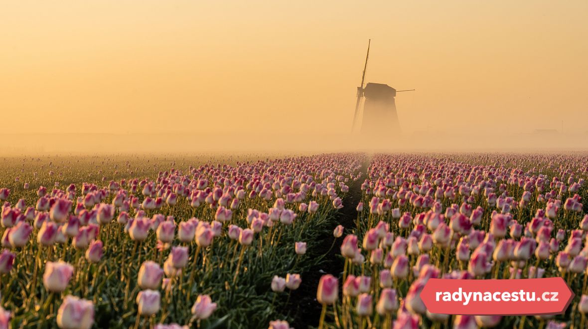 Květinový ráj objevte v Holandsku