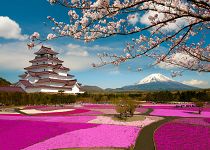 Zájezdy na festivaly a svátky do Japonska