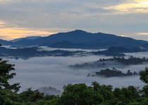 Zájezdy na Borneo