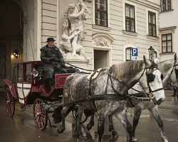 Ve Vídni se můžete projet i kočárem.