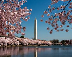 Pohled na Washingtonův památník