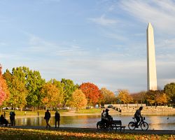 Pohled na Washingtonův památník z Constitution Gardens