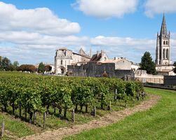 Vinice obklopují městečko St-Émilion