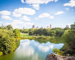 Oblíbené místo Newyorčanů – Central Park