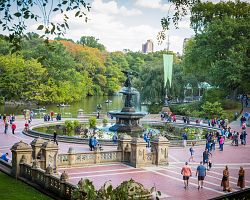 Newyorčané vyráží do Central Parku za odpočinkem…